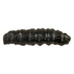 berkley_HONEY_WORM_Black